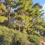 Forest & Sea View Argostoli (Kefalonia)