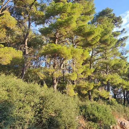 Forest & Sea View Argosztóli