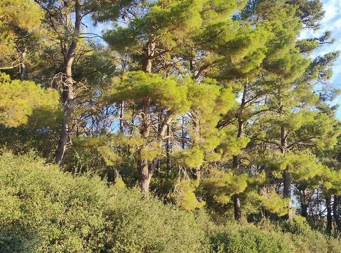 Forest & Sea View Аргостолион