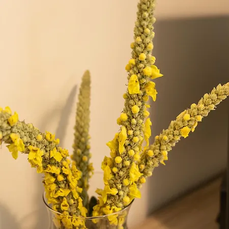 Lejlighed Forest & Sea View Argostoli (Kefalonia)