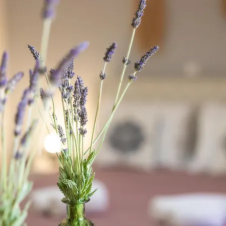 Forest & Sea View Lejlighed